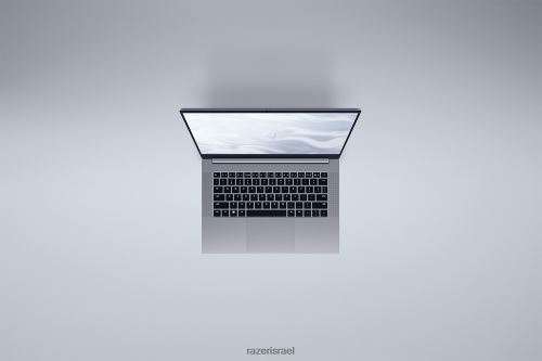 Razer התאם אישית את הלהב שלך 14 VZ2D4V3 מחשב נייד צבע אחד